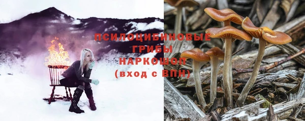 стафф Алзамай