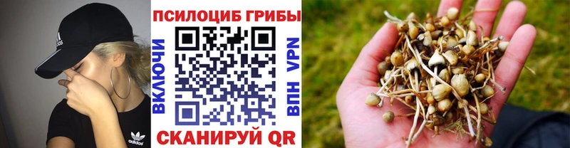 Псилоцибиновые грибы прущие грибы  Махачкала 